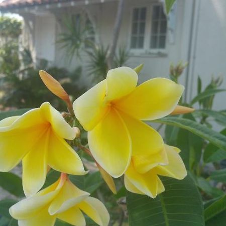Casa Portugal Bed & Breakfast West Palm Beach Exterior photo